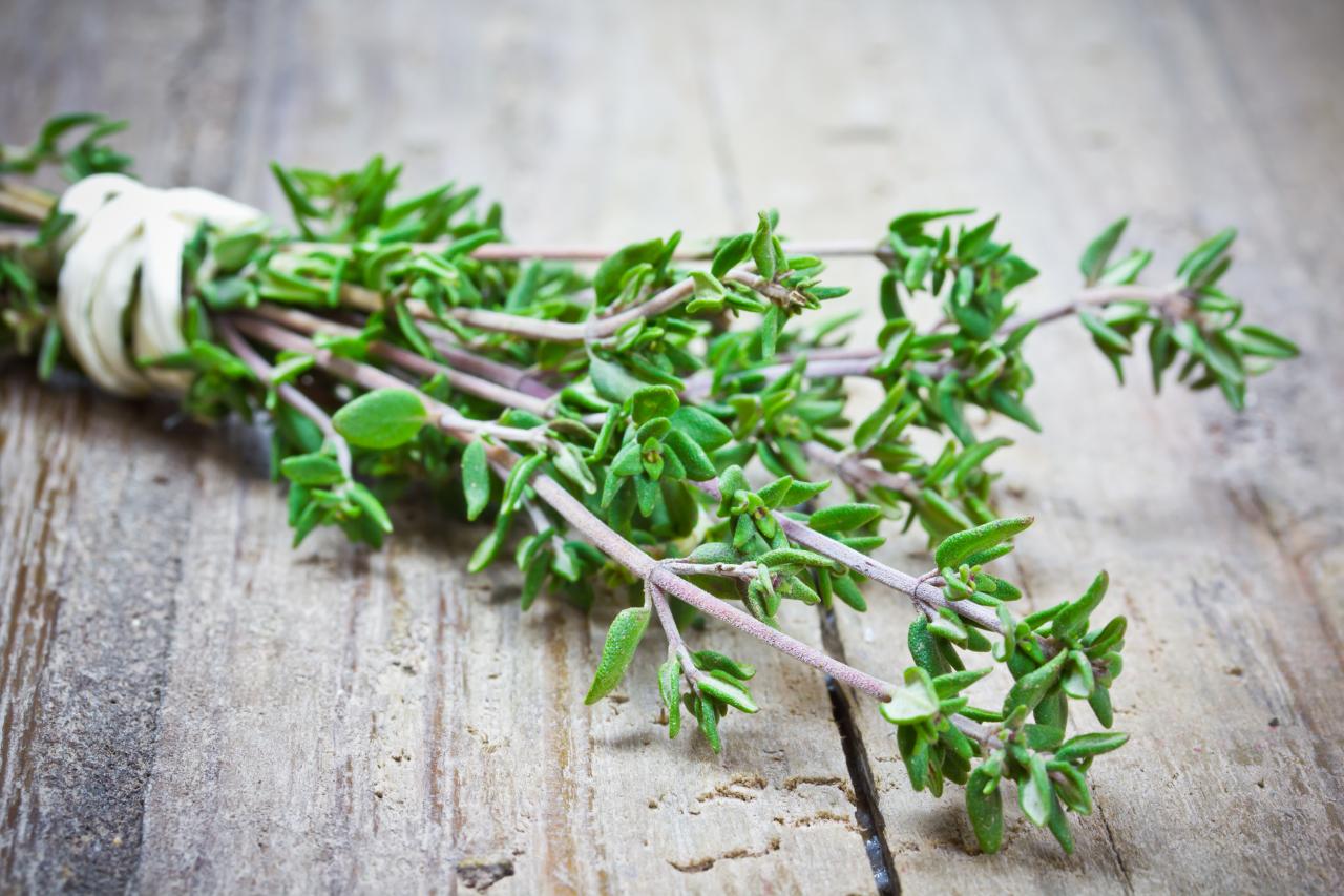 Thyme Piece: The Ultimate Herb for Flavorful Cooking