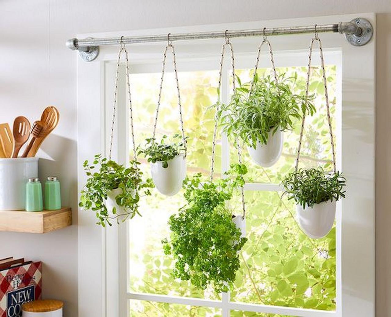 How to Arrange Multiple Hanging Plants in a Small Space