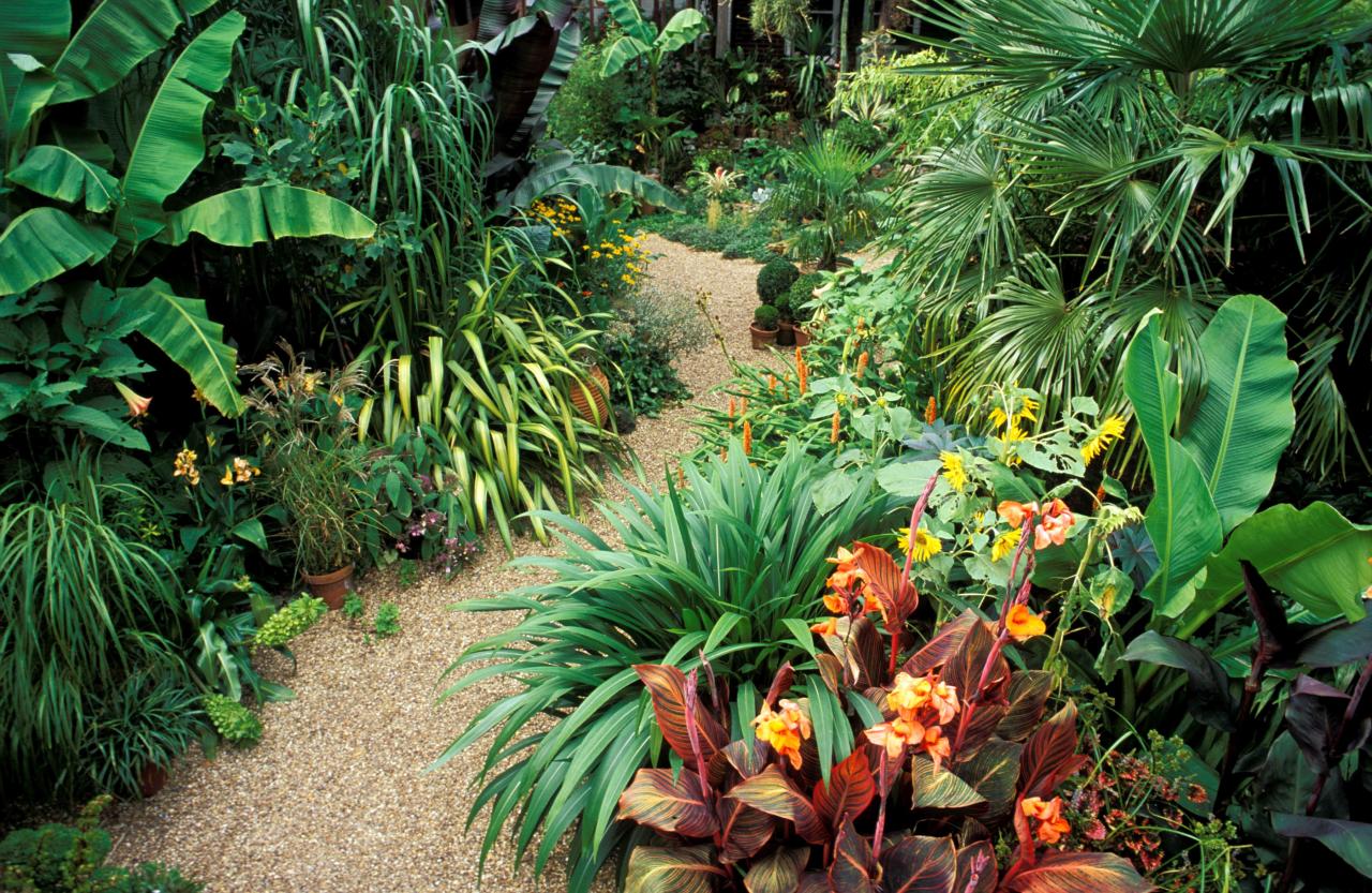 How to Create a Beautiful and Exotic Garden with Papyrus Plant: Essential Tips